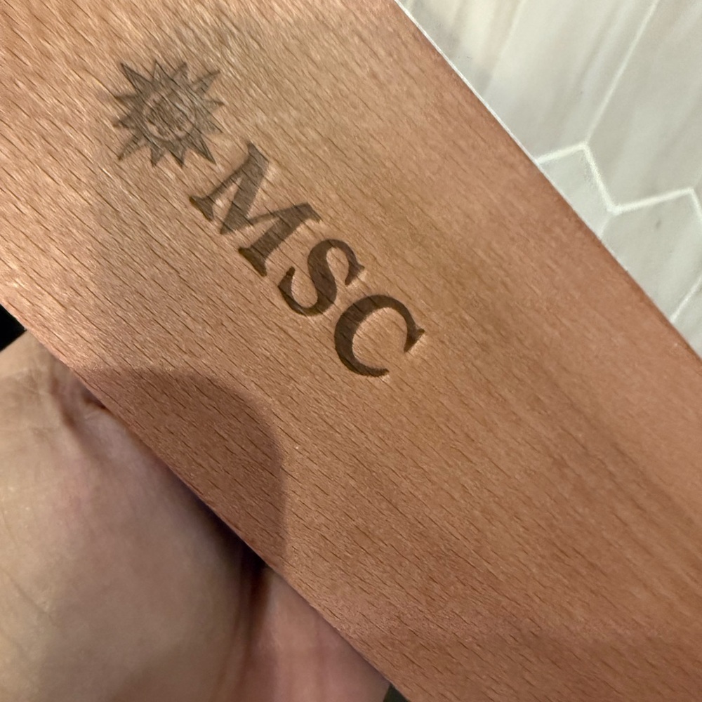 MSC Divina Cruise Ship Metal On Wood 11” Model - Picture 4 of 12